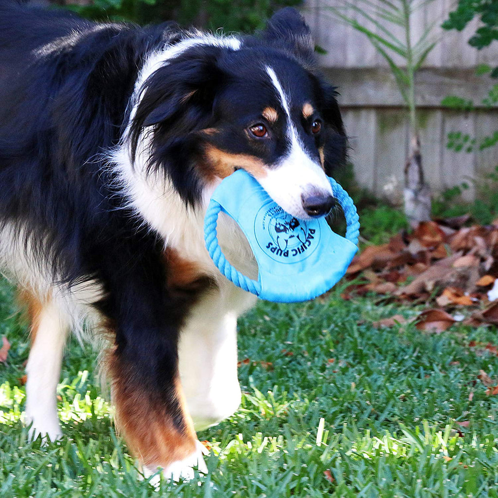 11 Cuerdas Interactivas: Mordederas Ultra Resistentes para Perros Pequeños y Medianos