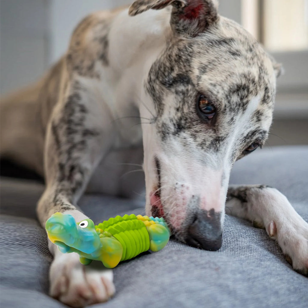 Cocodrilo Masticador KovaPets: Juguete Indestructible con Sabor a Tocino para Mordidas Extremas