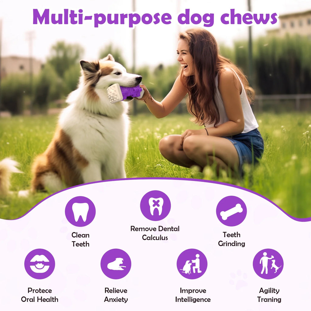 Masticador de Caucho Natural KovaPets: Resistencia Industrial y Cuidado Dental Activo