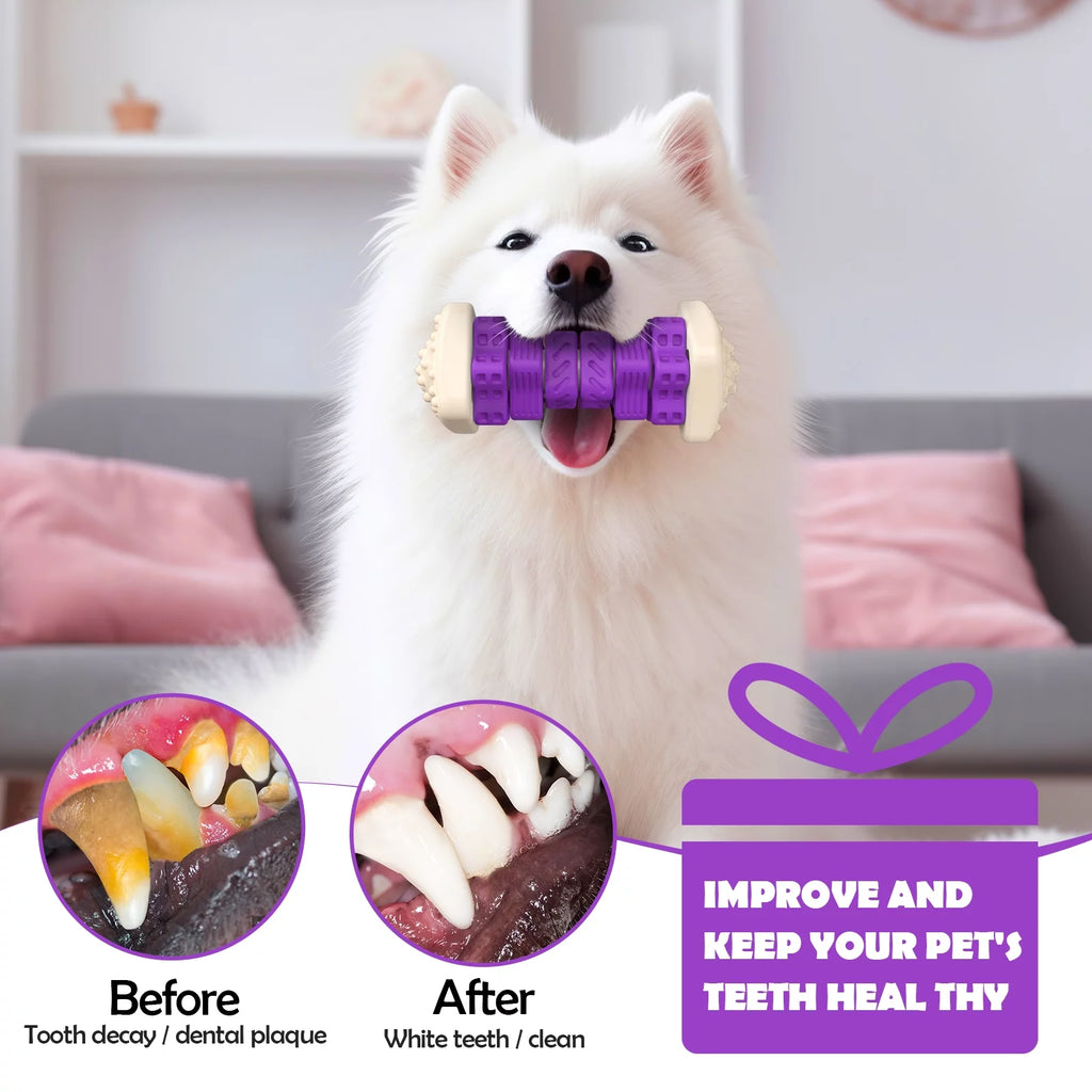 Masticador de Caucho Natural KovaPets: Resistencia Industrial y Cuidado Dental Activo