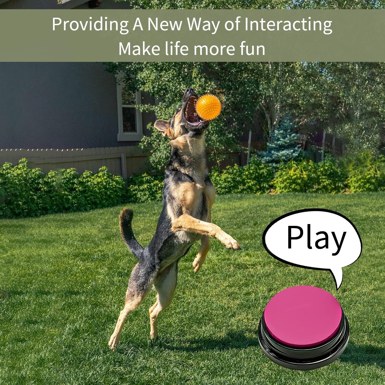 Set KovaPets de 8 Botones Grabables: Sistema de Comunicación Inteligente para Mascotas