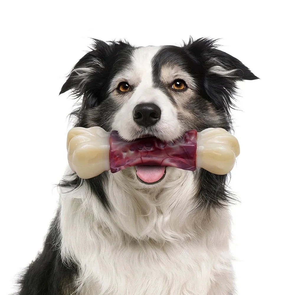 Hueso Masticable KovaPets Titán: El Juguete "Indestructible" para Mordidas Extremas